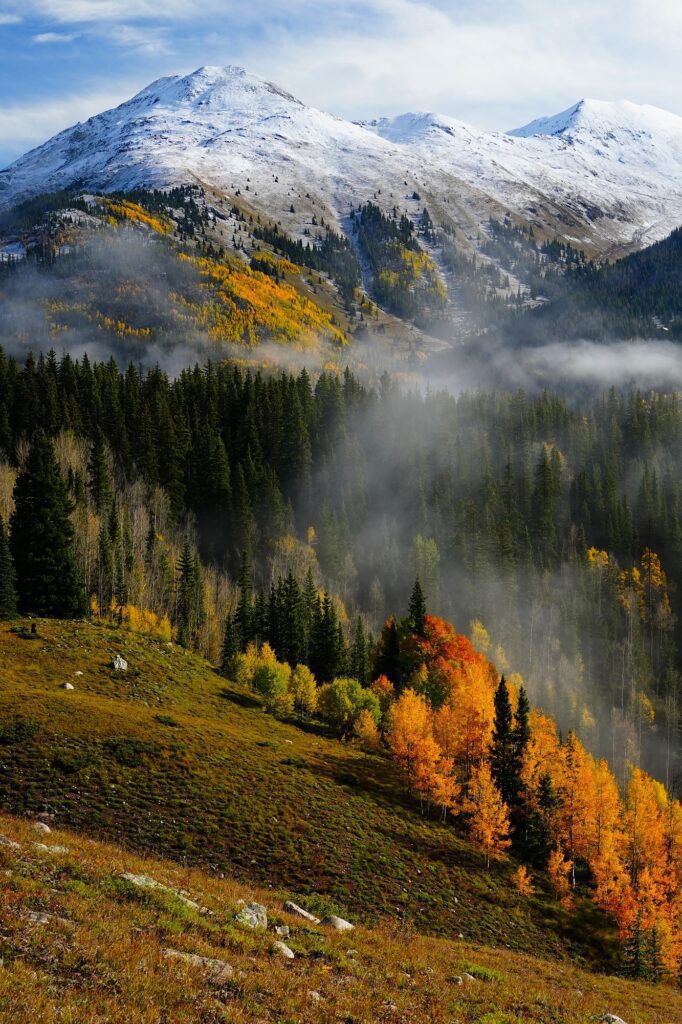 Snowcapped mountain with fall color seen during a Colorado Fall Color photo tour.