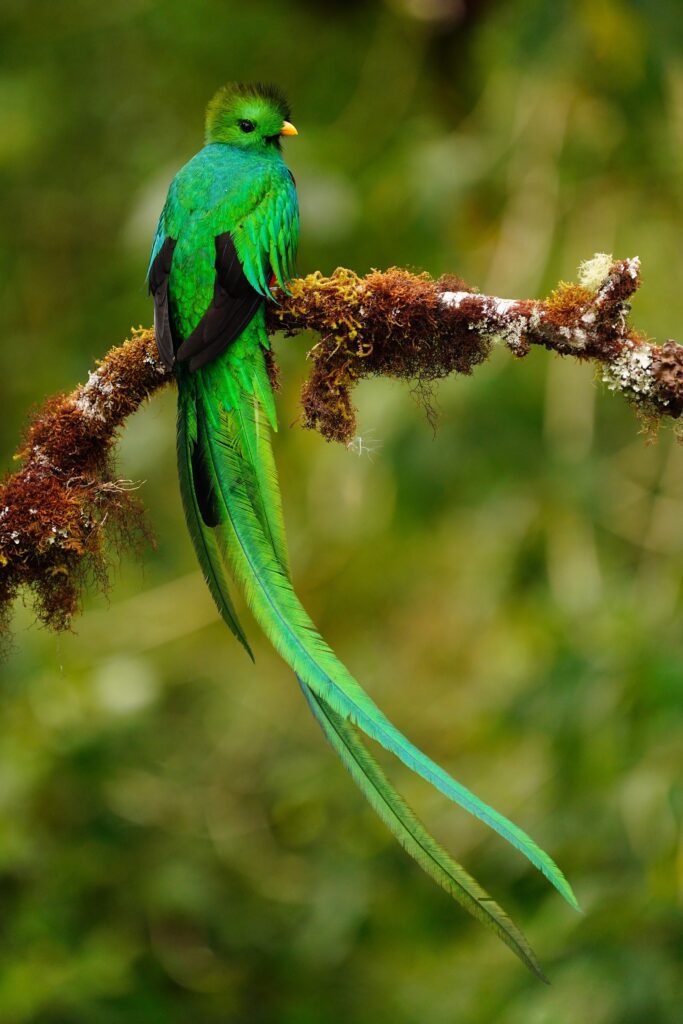 Costa Rica photo tour with Don Mammoser
