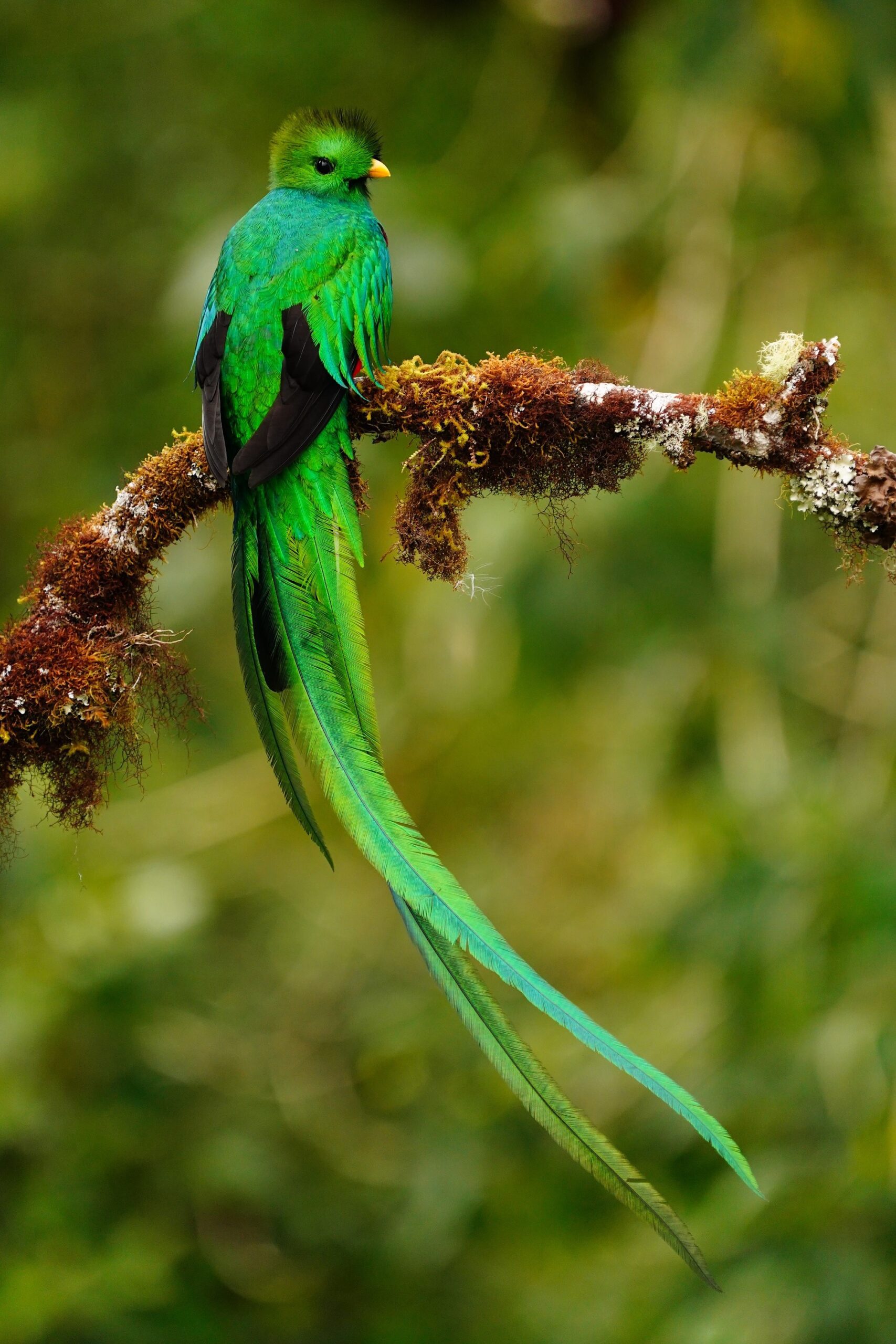 Costa Rica photo tour with Don Mammoser