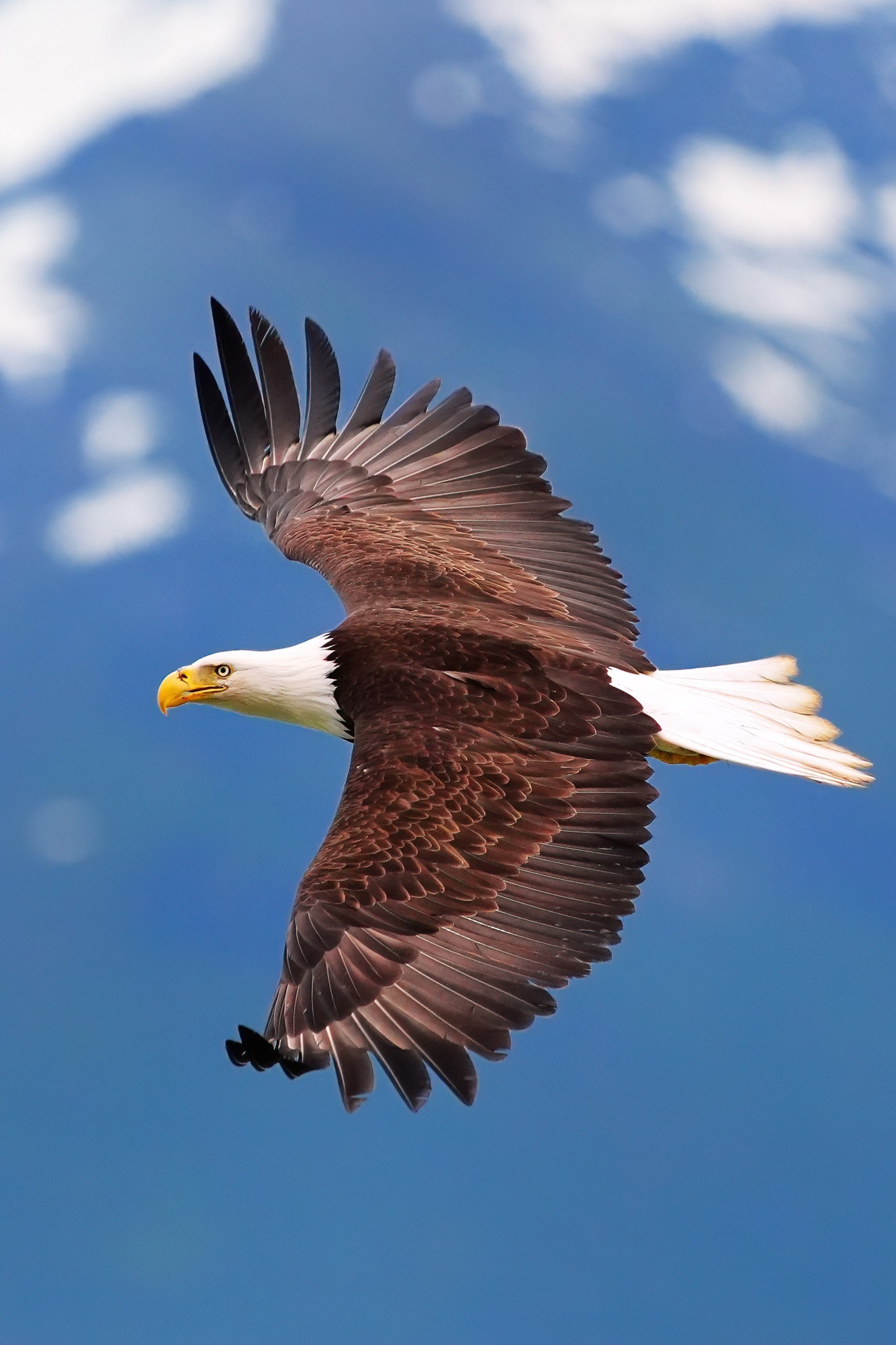 Alaska's inside passage guided photo tour with Don Mammoser
